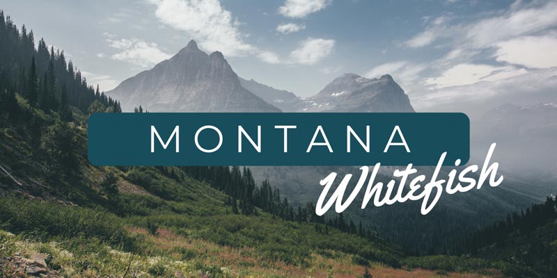 Coming Soon... Montana